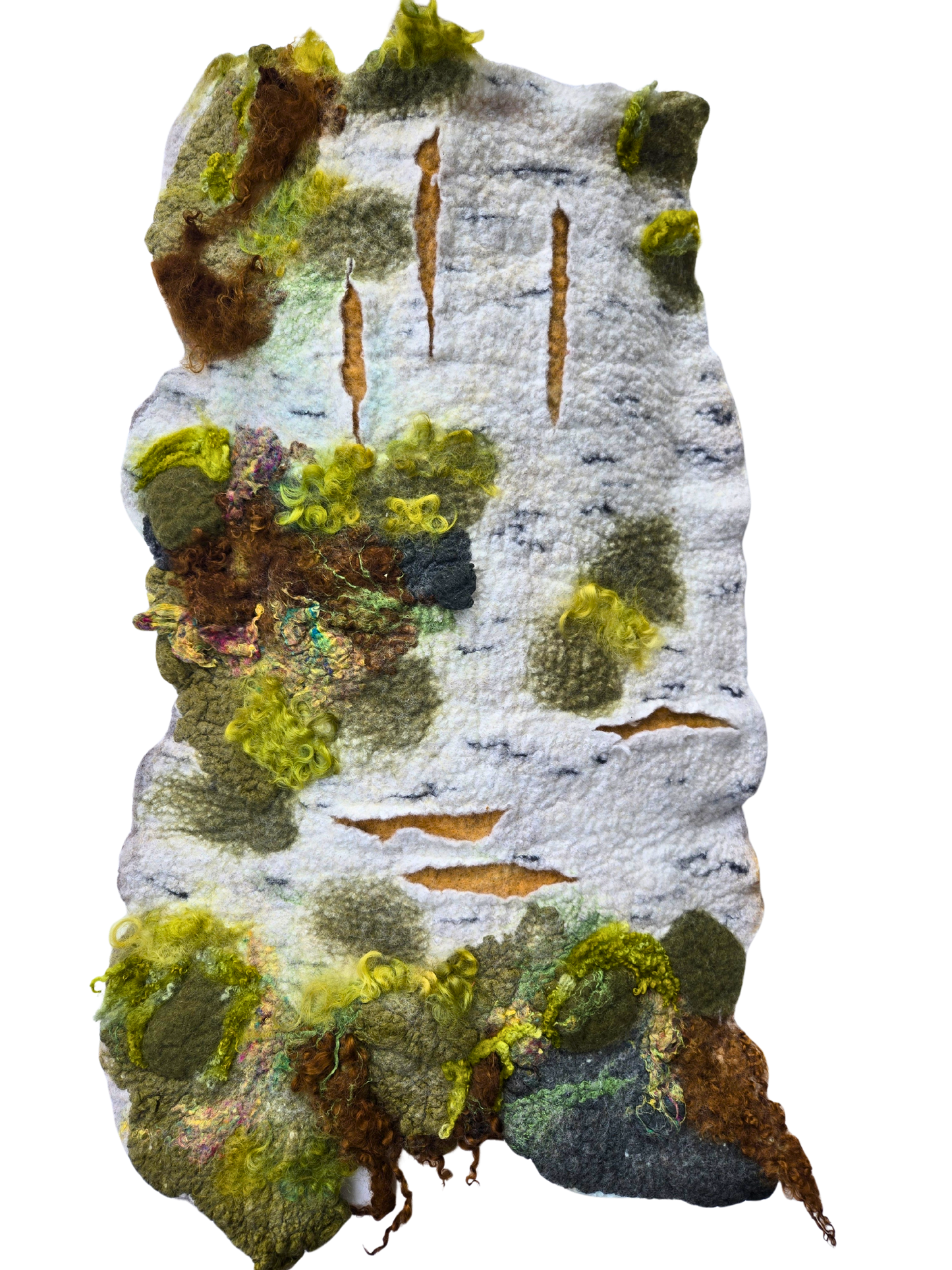 Textures of Moss and Time