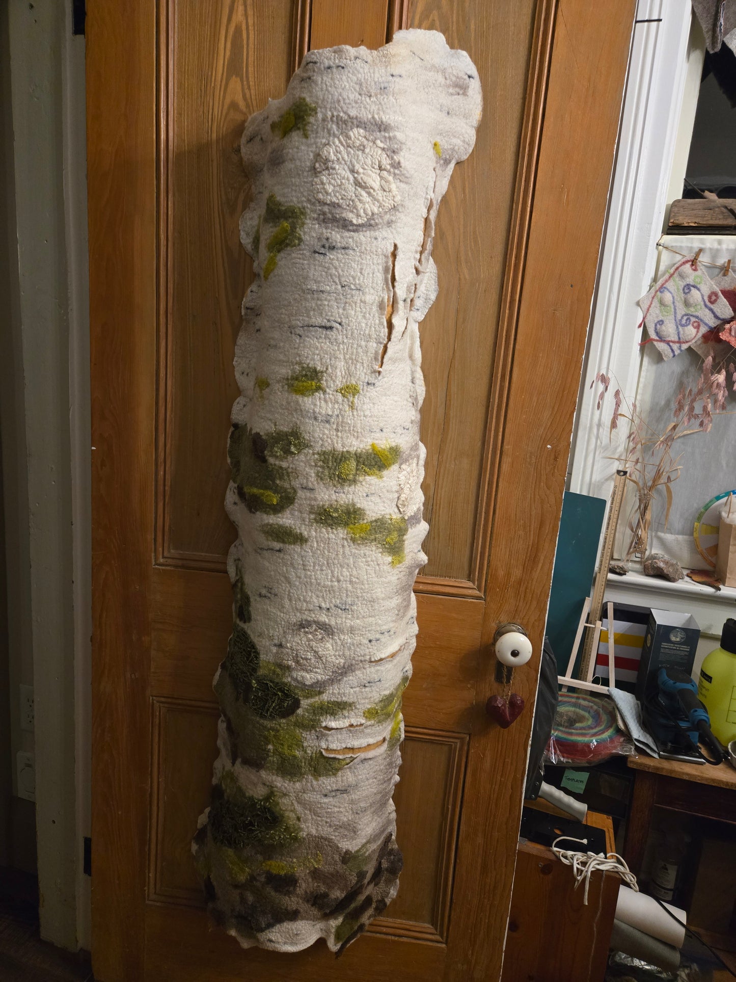 Quiet Growth of the Birch