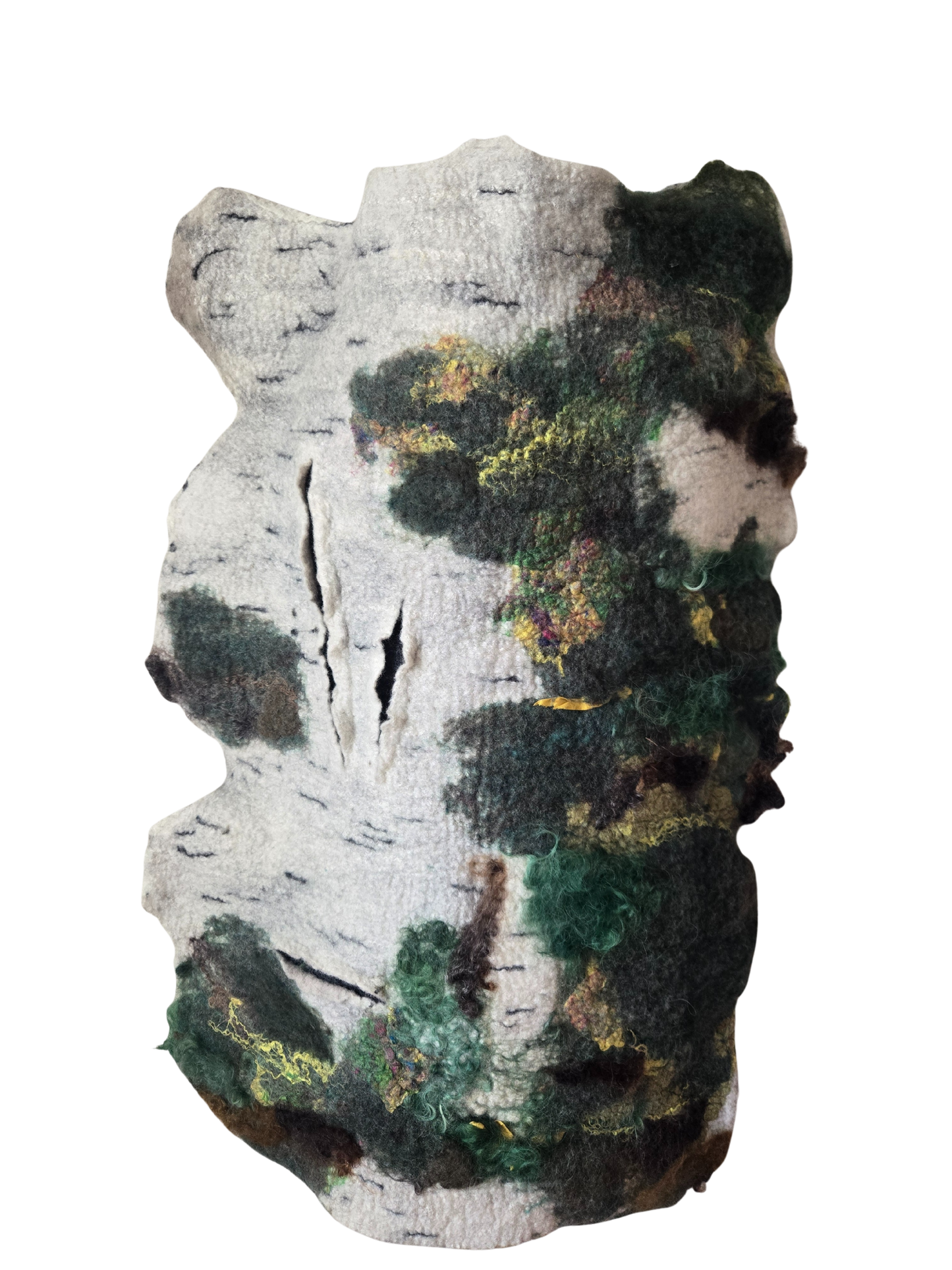 The Soft Grain of Moss and Time