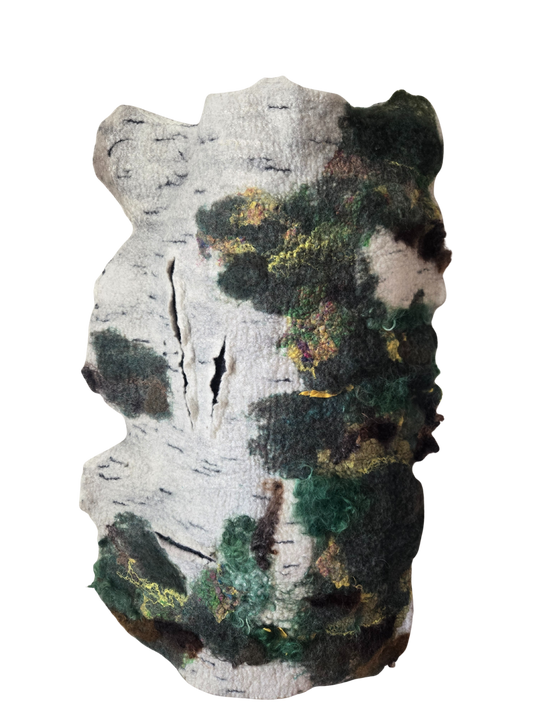 The Soft Grain of Moss and Time