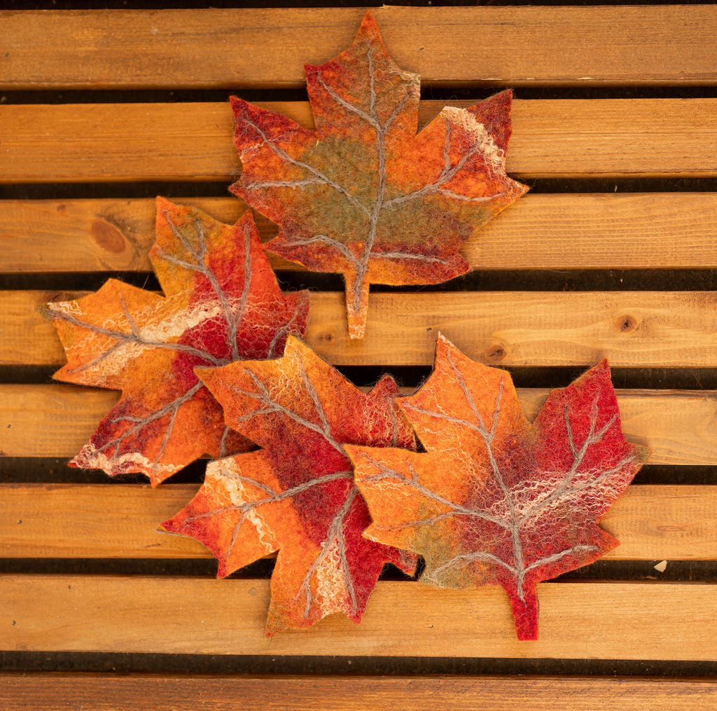 Fall -Coloured Maple Leaf Coasters