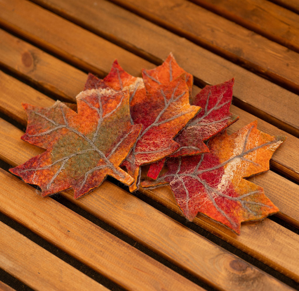 Fall -Coloured Maple Leaf Coasters