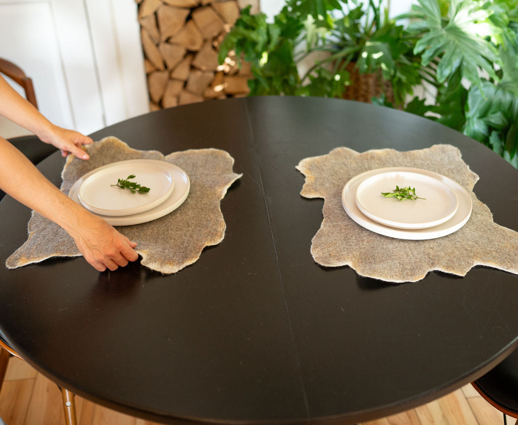 Birch Bark Slices Placemat Set