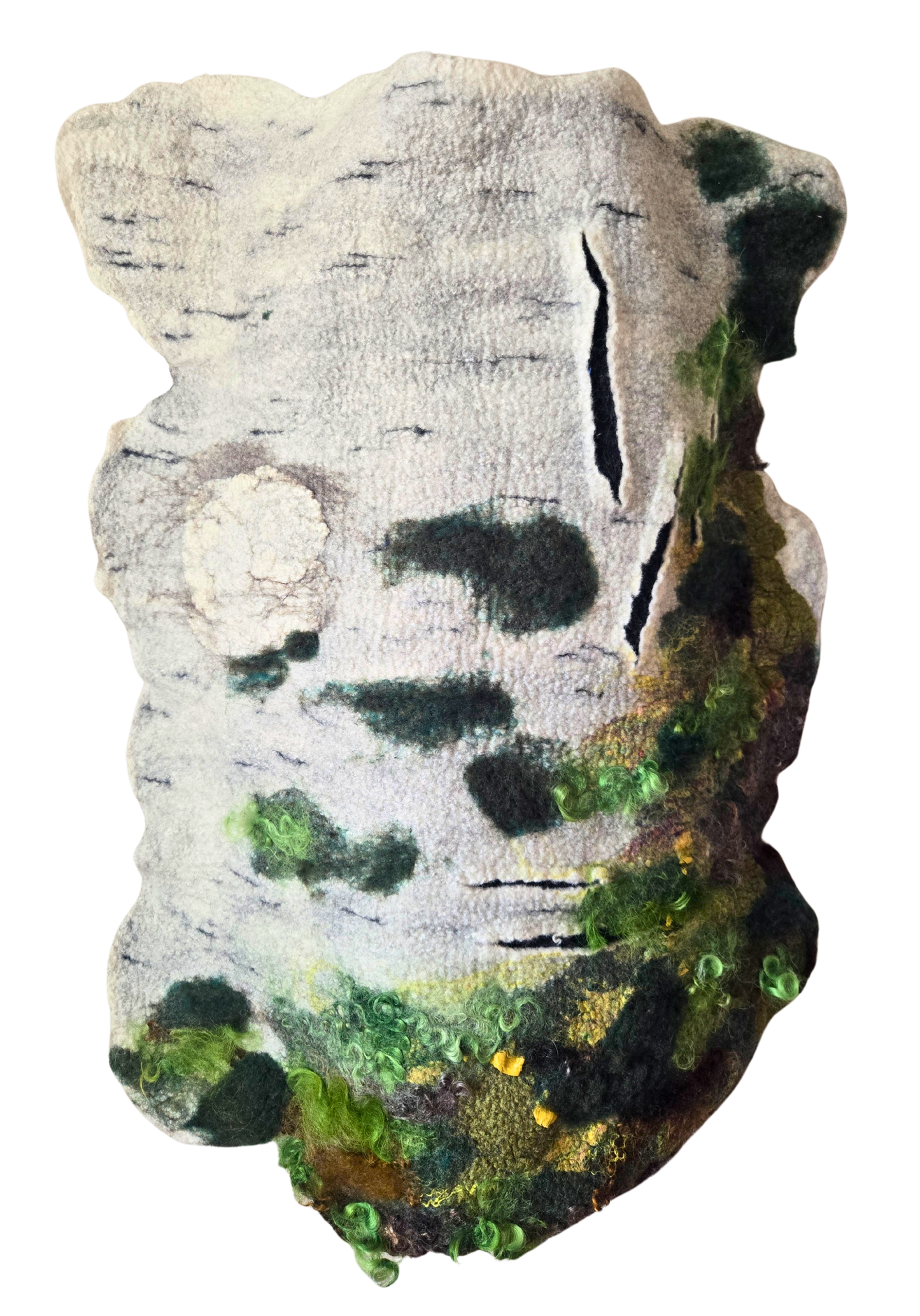 The Calm Folds of Gentle Bark