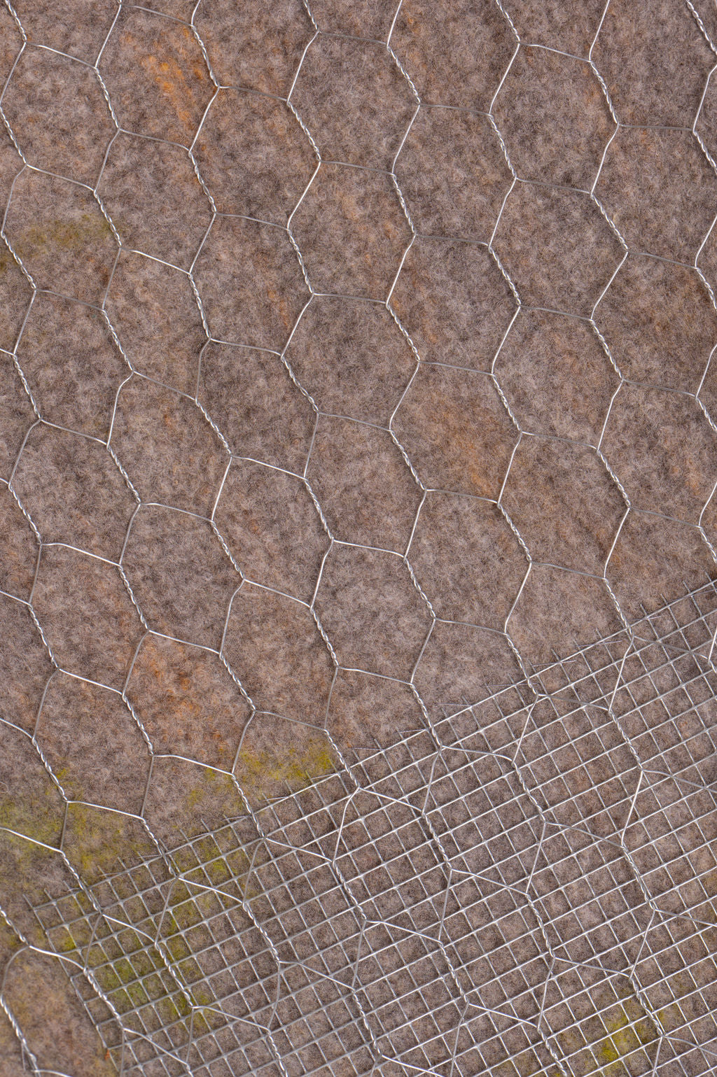 Between Moss and Memory