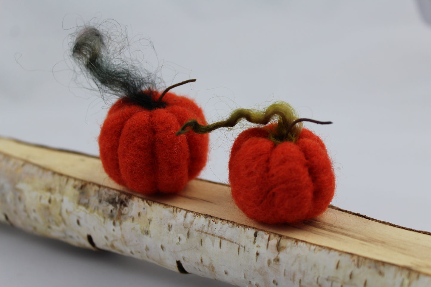 Pumpkins (set of 6)