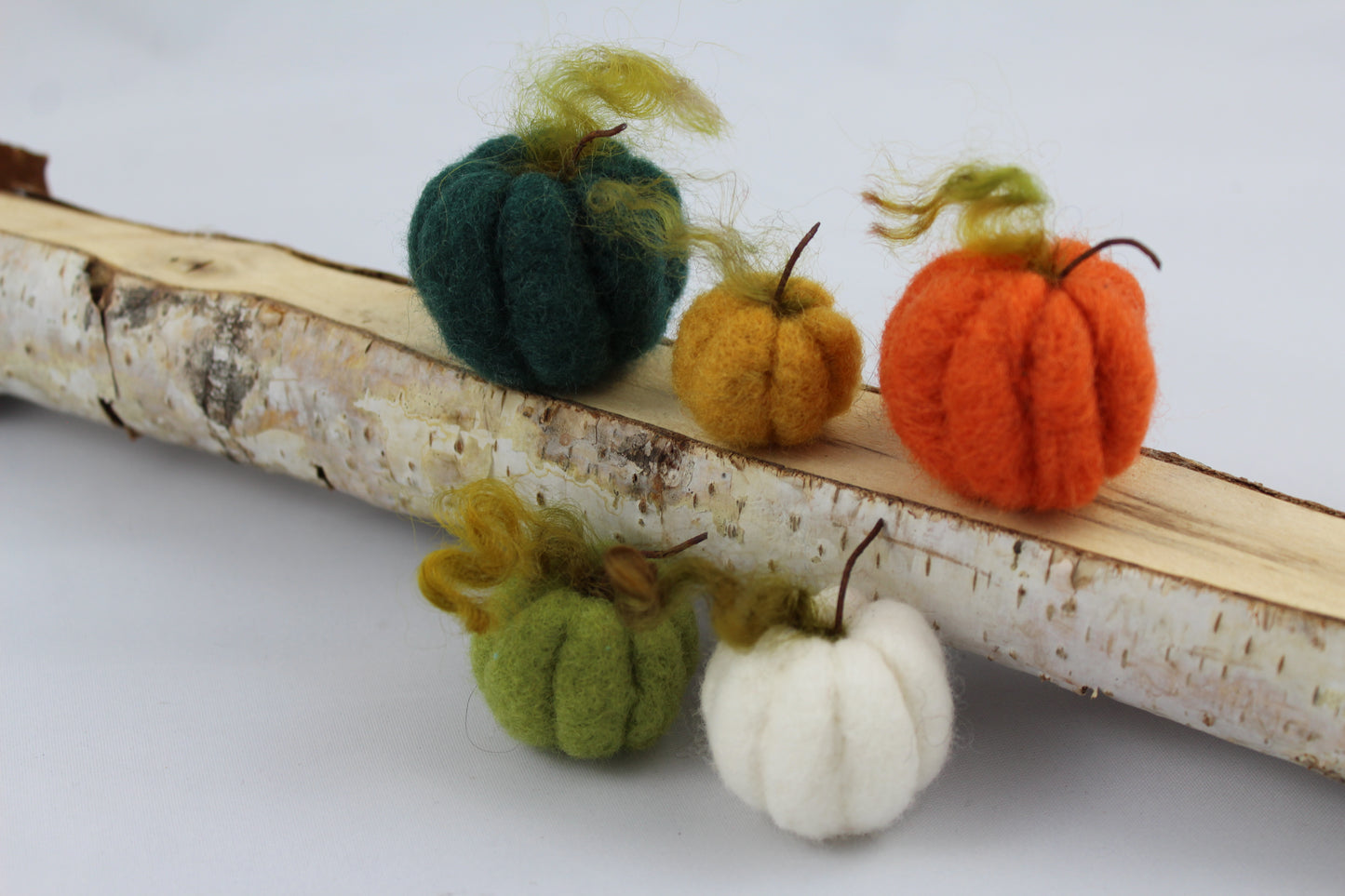 Pumpkins (set of 6)