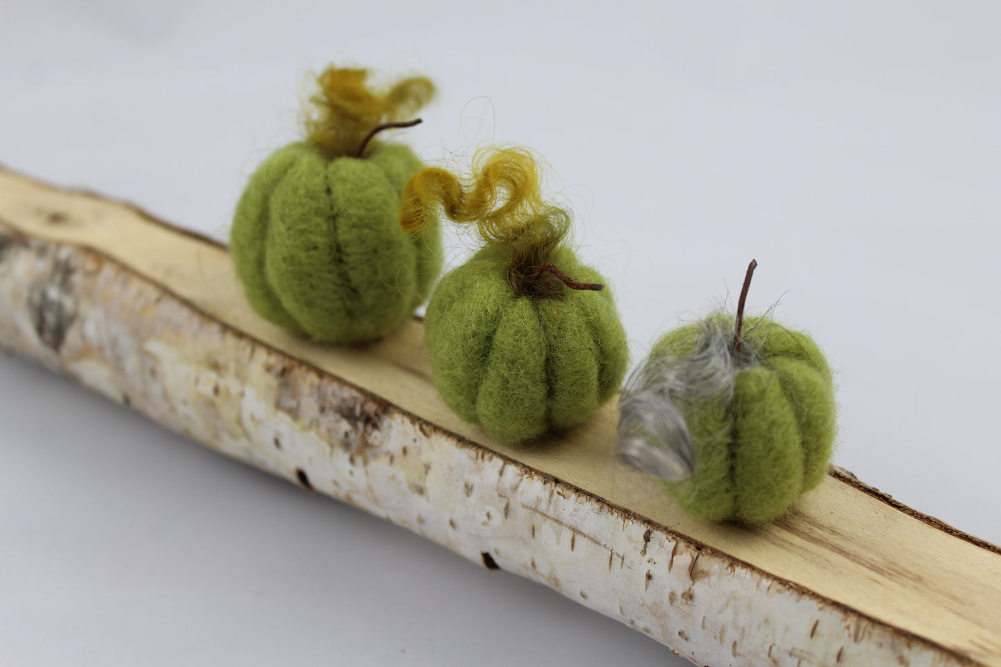 Pumpkins (set of 6)