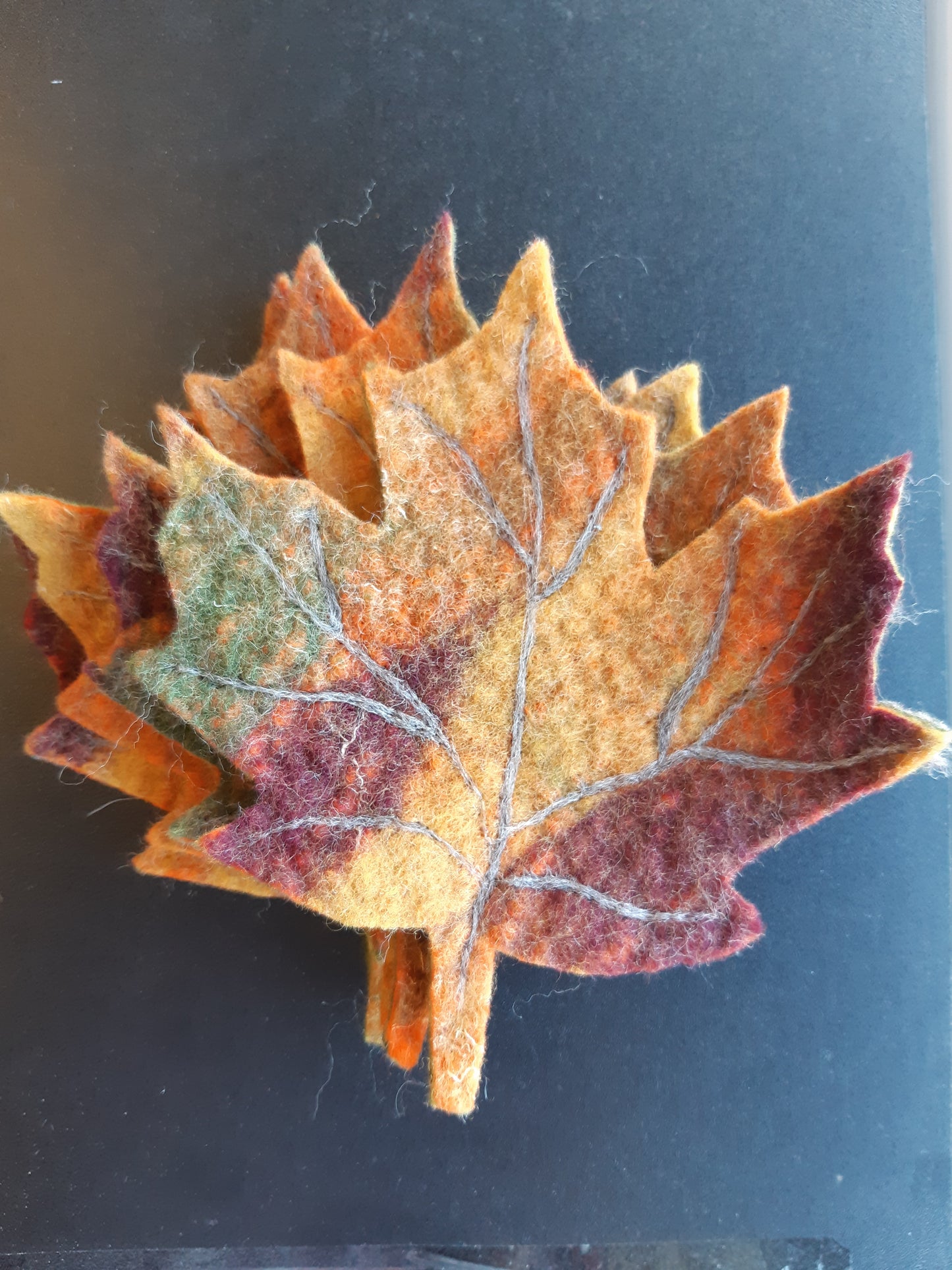 Fall -Coloured Maple Leaf Coasters