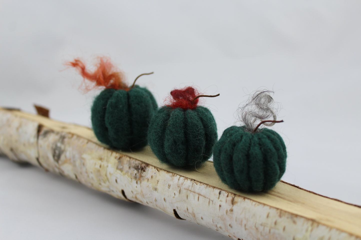 Pumpkins (set of 6)