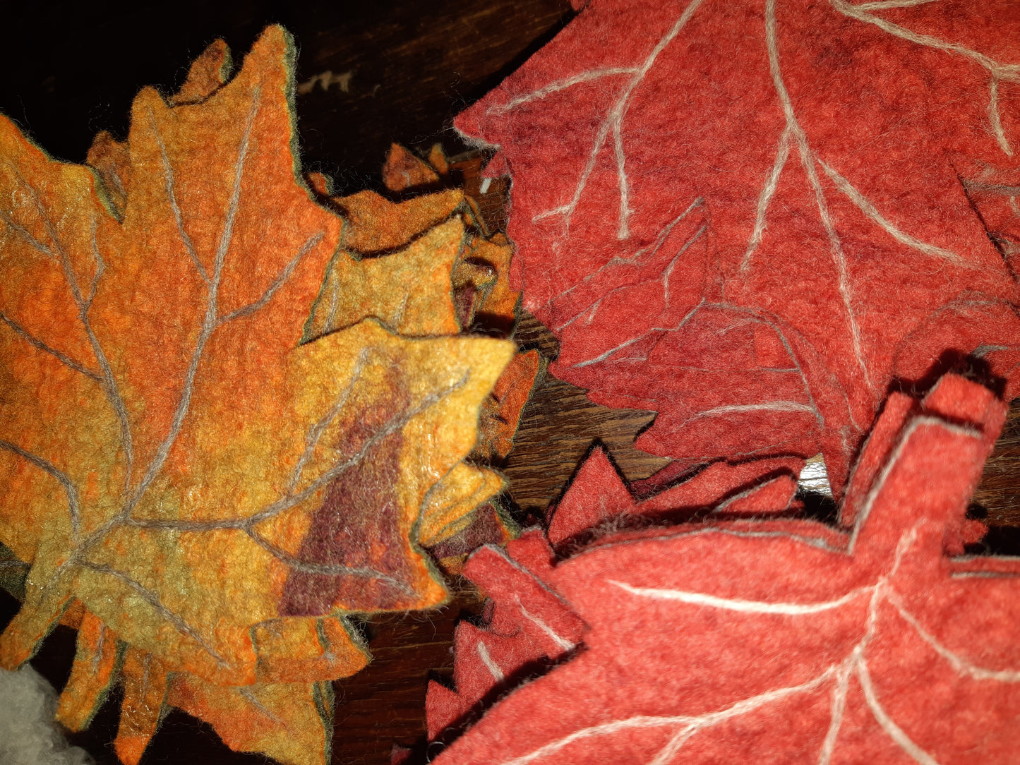 Fall -Coloured Maple Leaf Coasters