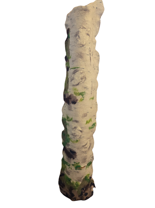 Steadfast Echoes of the Birch