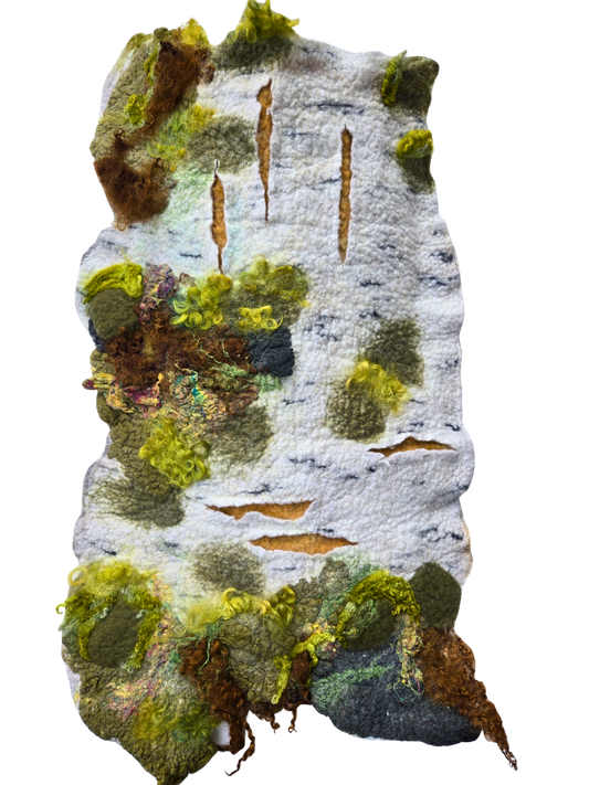 Textures of Moss and Time