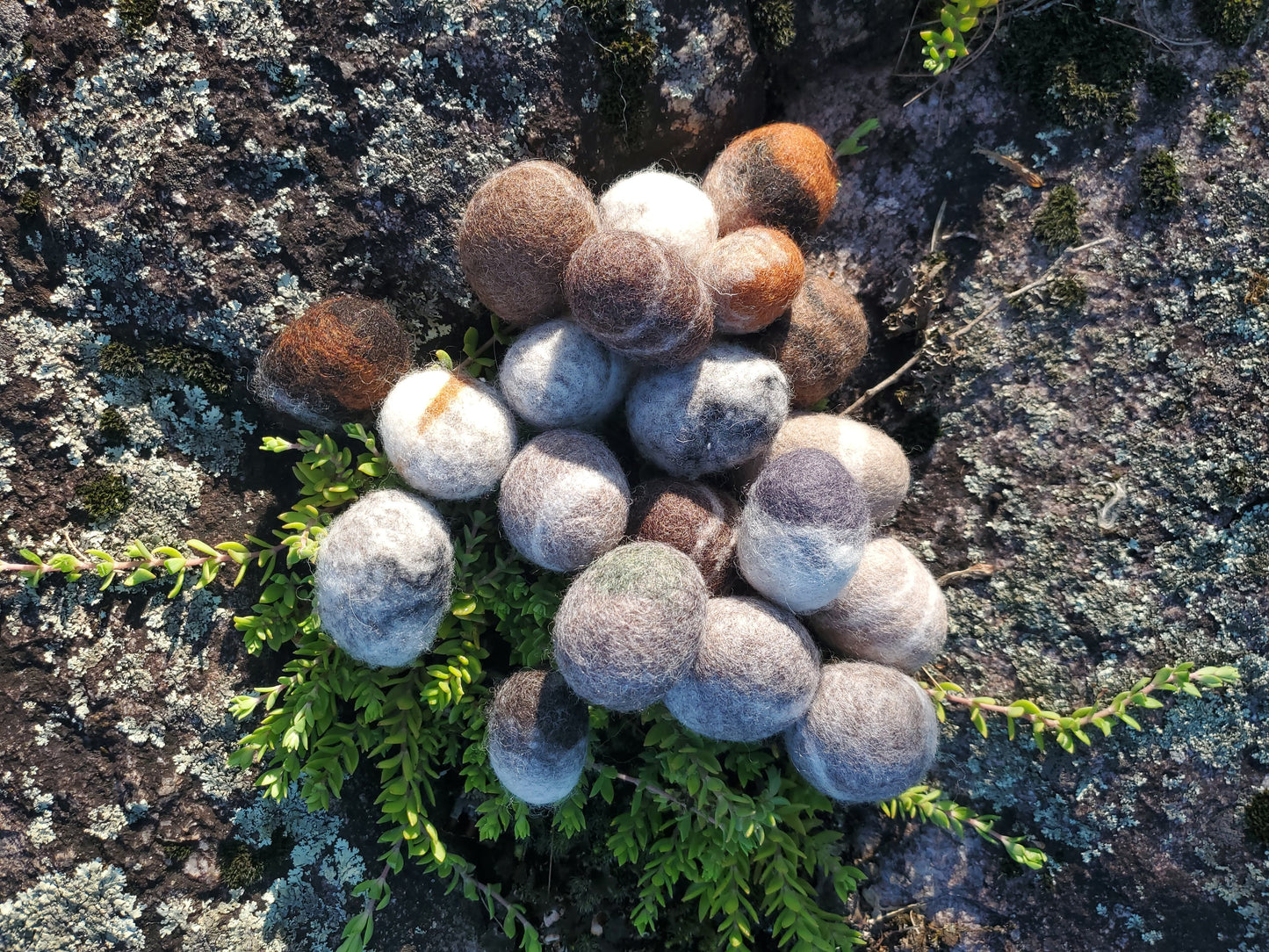 Decorative River Rocks