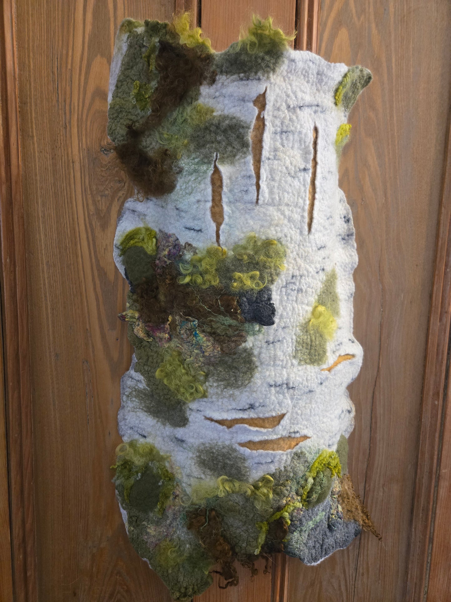 Textures of Moss and Time