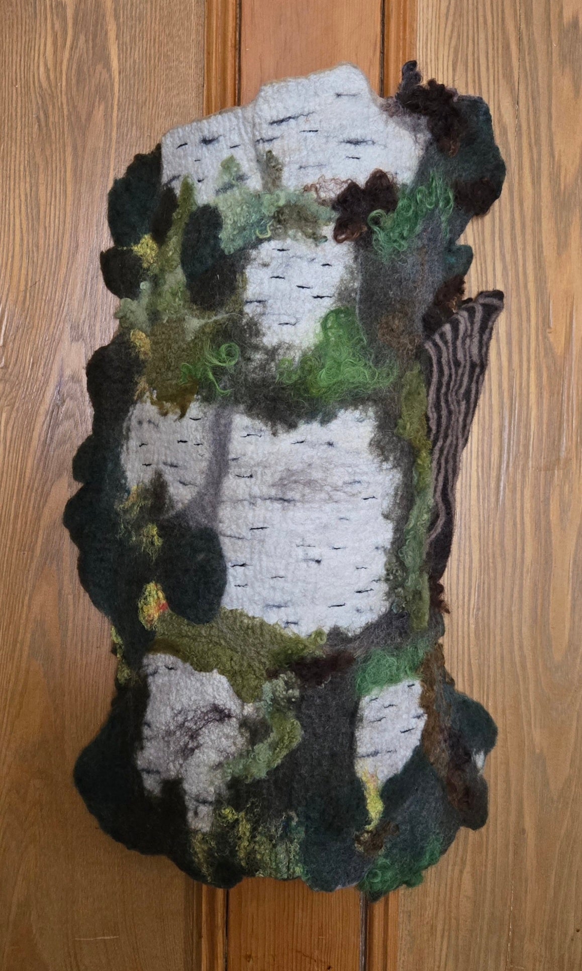 The Calm Pulse of Fallen Bark