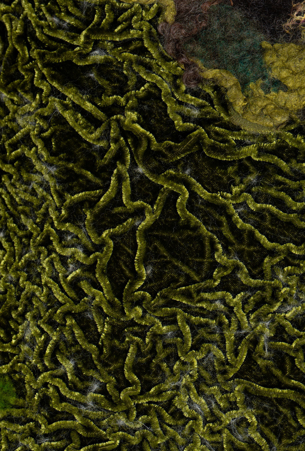 Divided Spirit in Quiet Growth