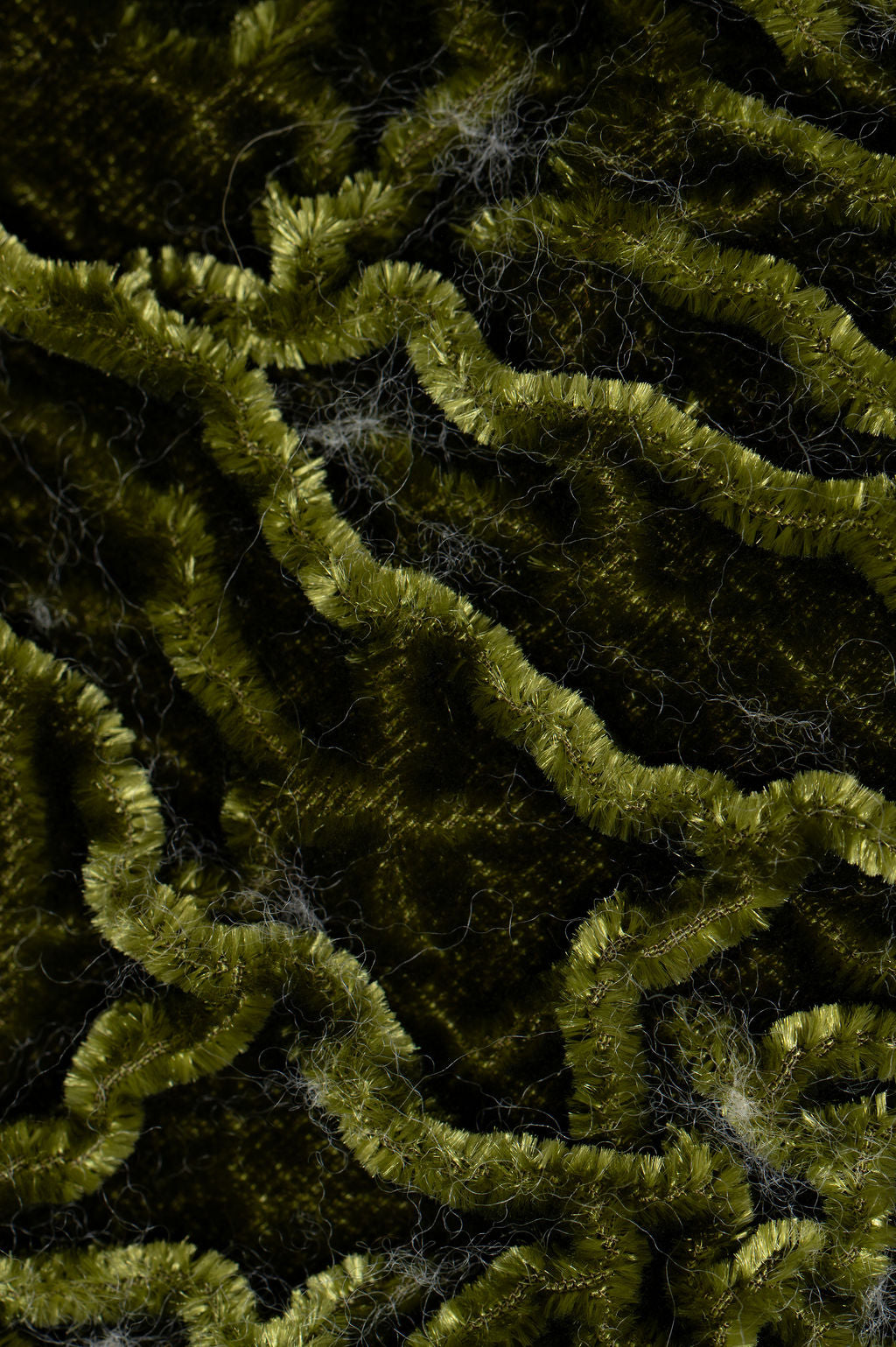 Divided Spirit in Quiet Growth