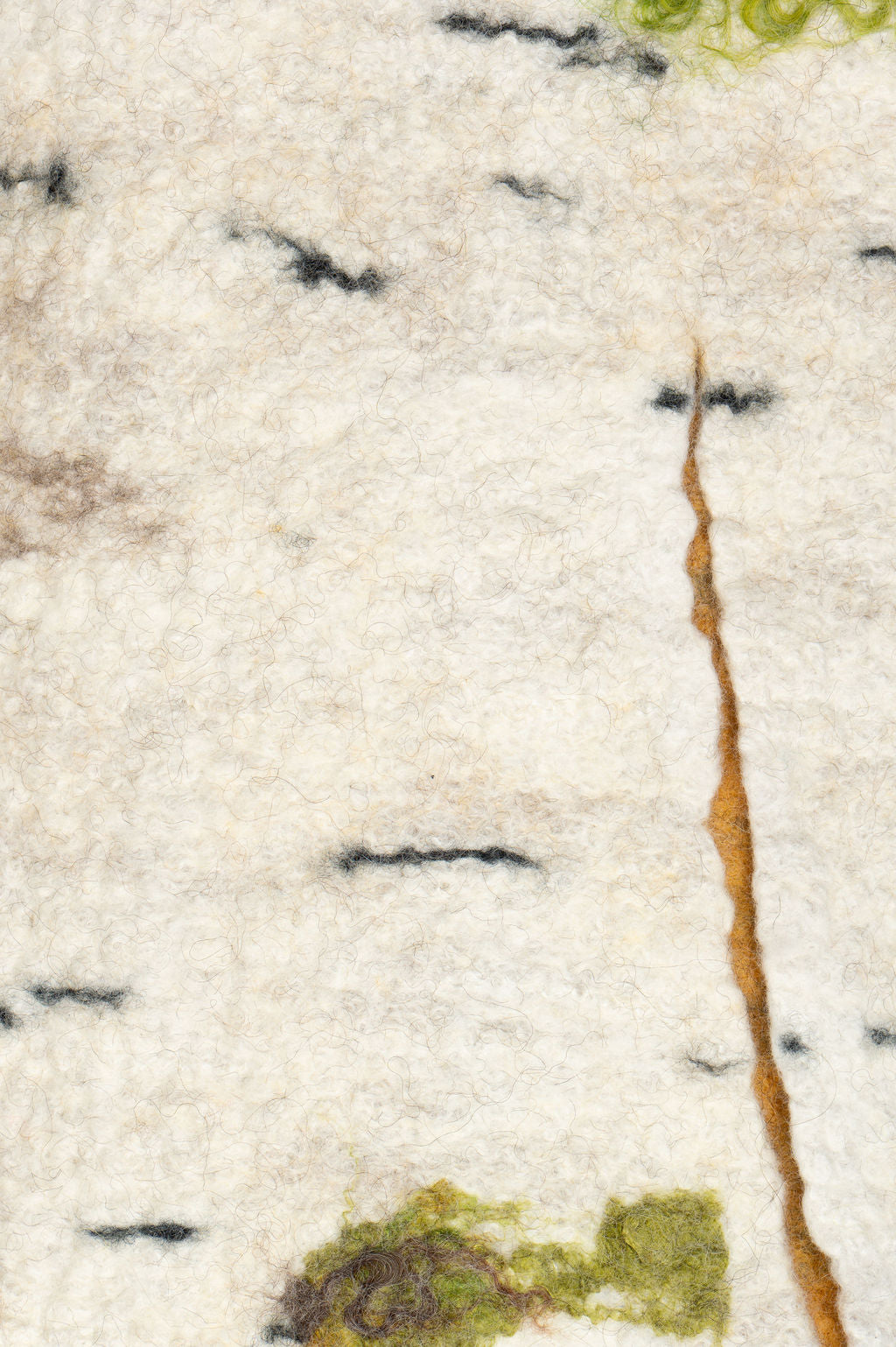 Silent Birch Veins