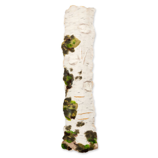 Quiet Strength in Living Growth