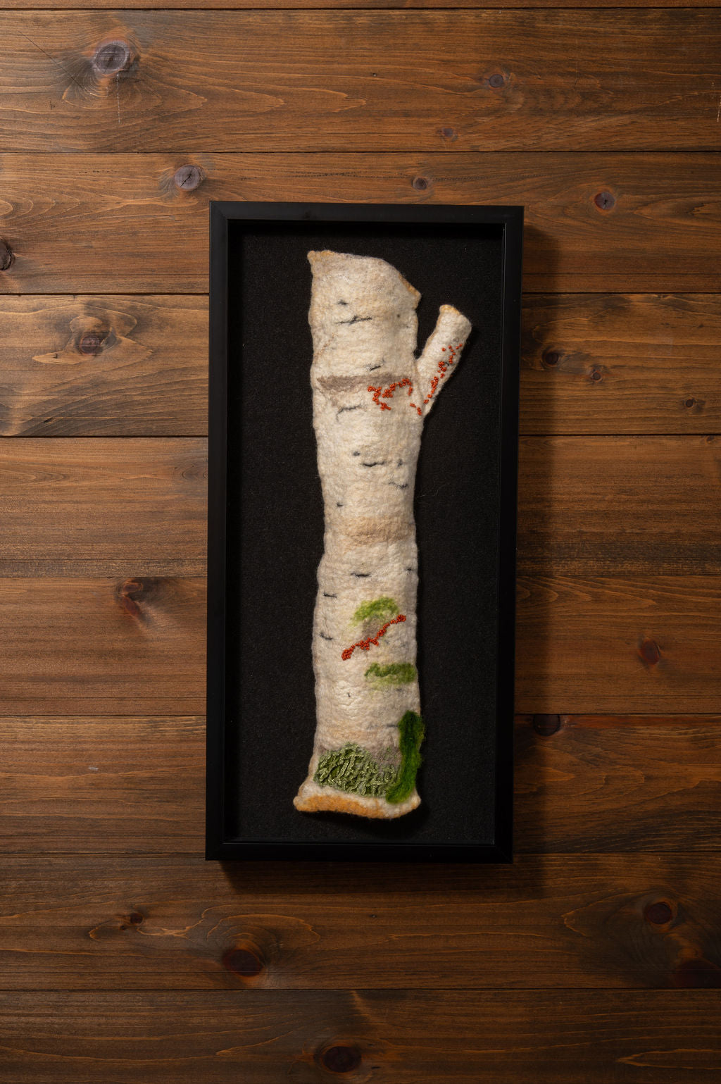 Birch Echo 1