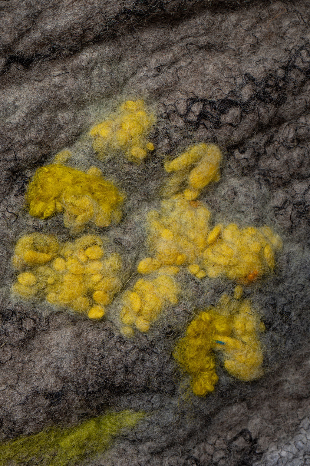 Quiet Growth Along the Granite Folds