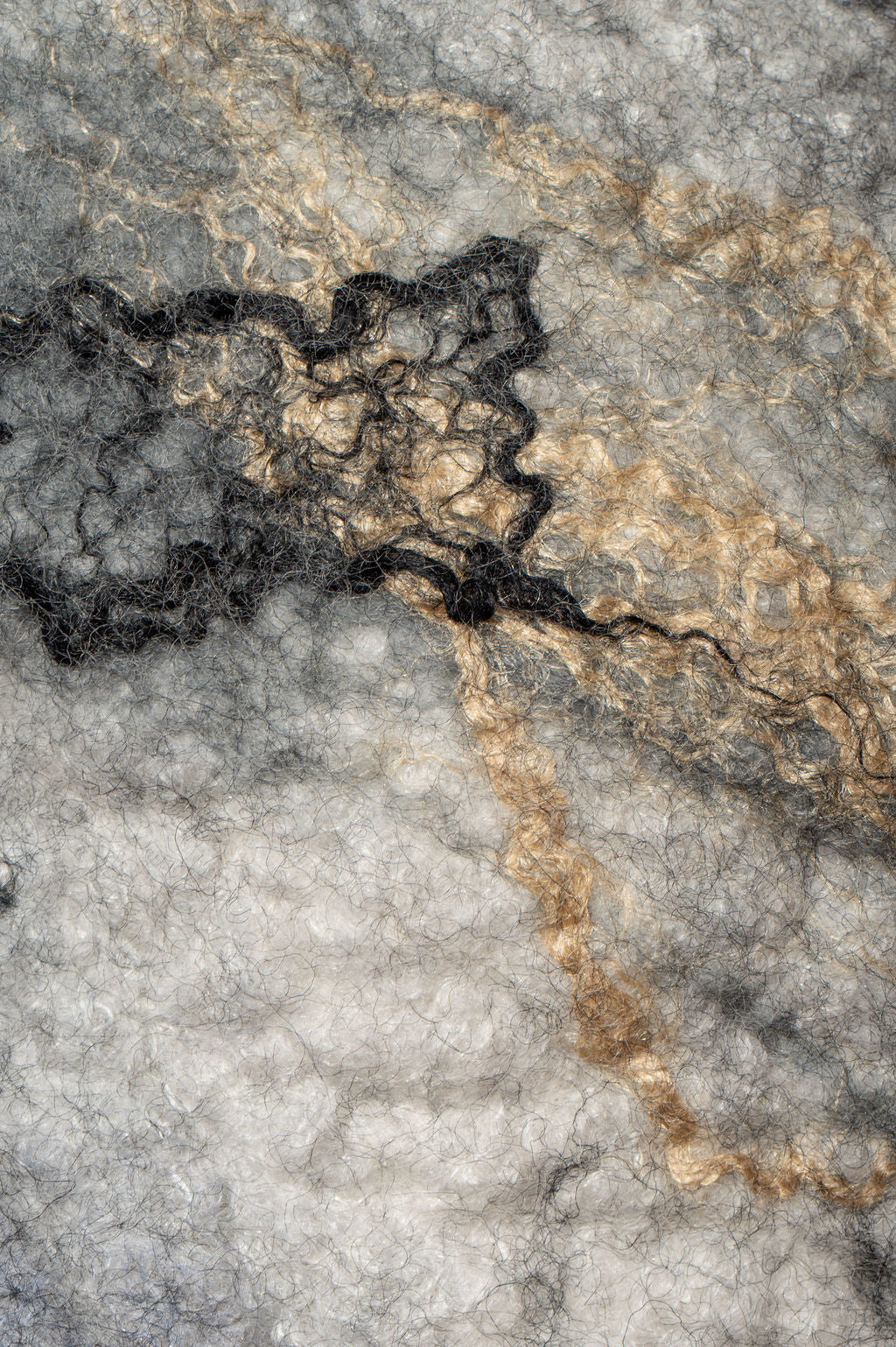 Textured Stories of Killarney Rock