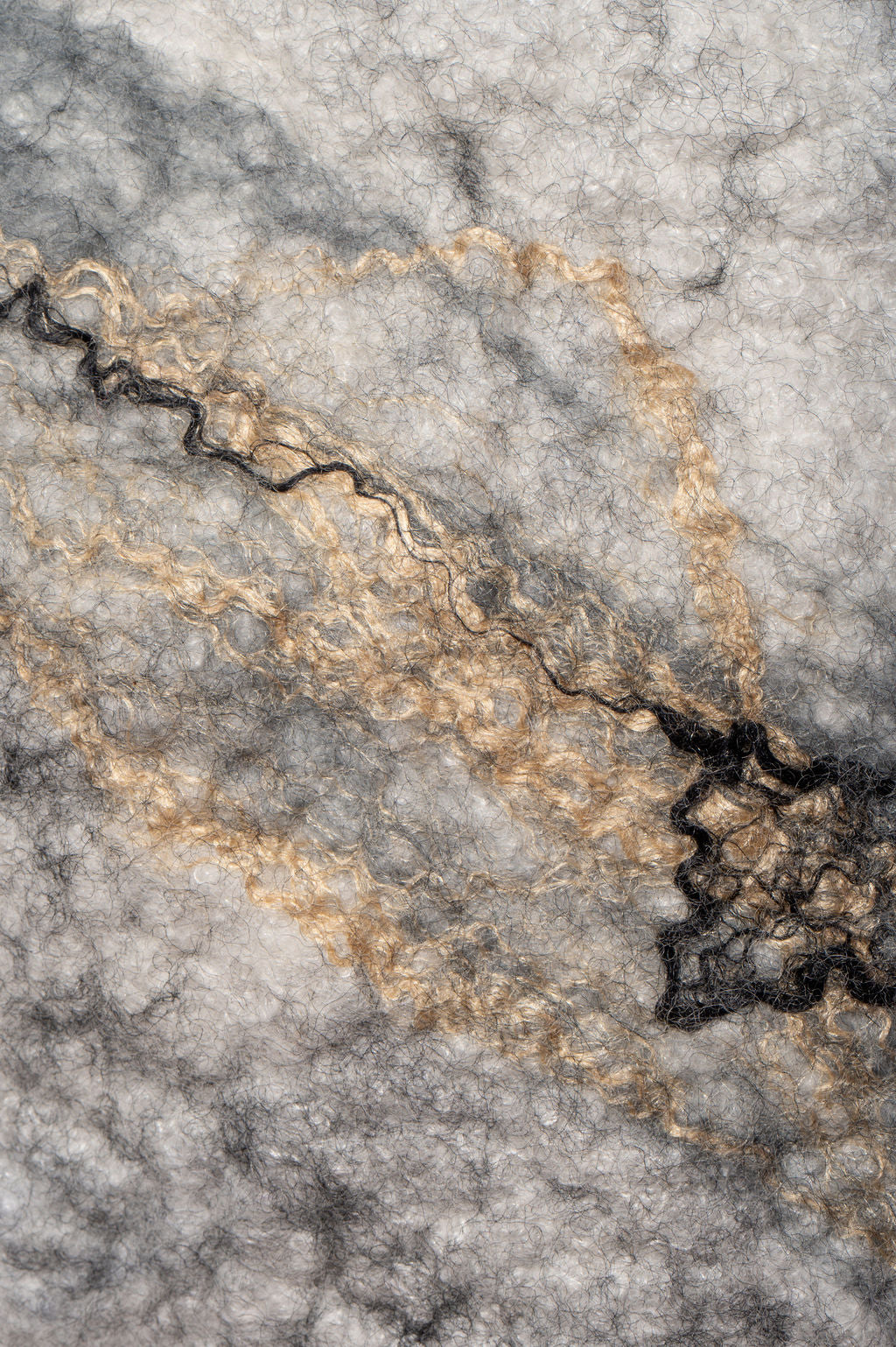 Textured Stories of Killarney Rock