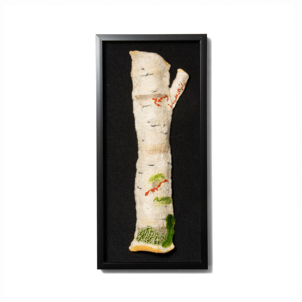 Birch Echo 1