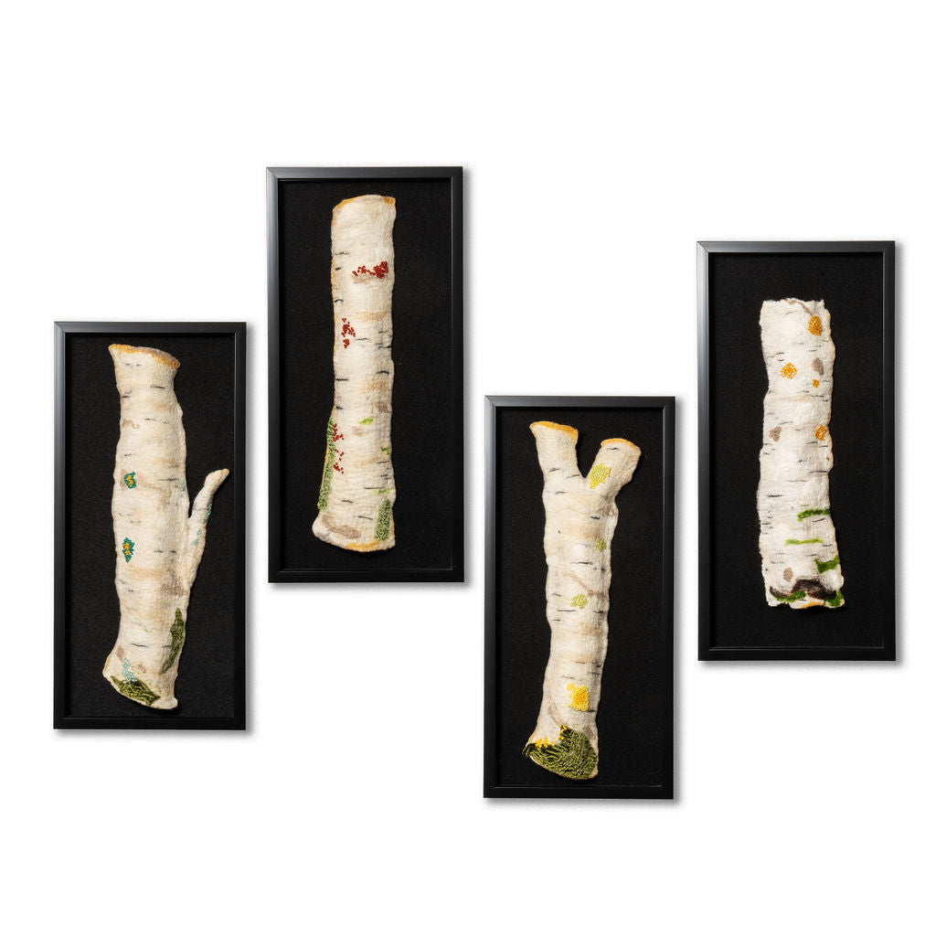 Birch Echo 2