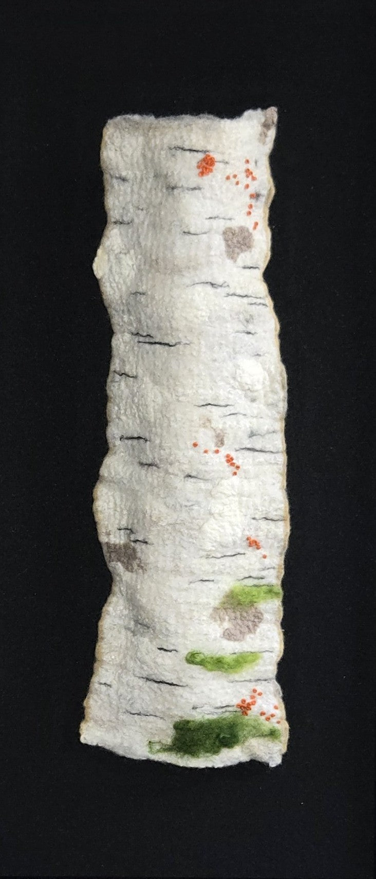 Shadow Birch 1