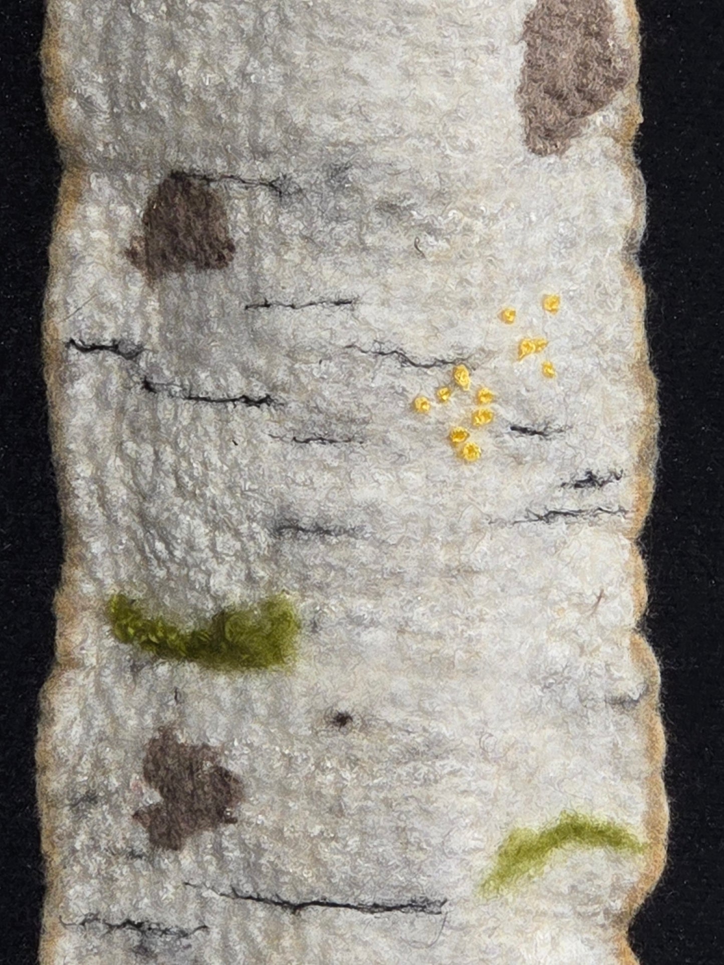 Shadow Birch 2