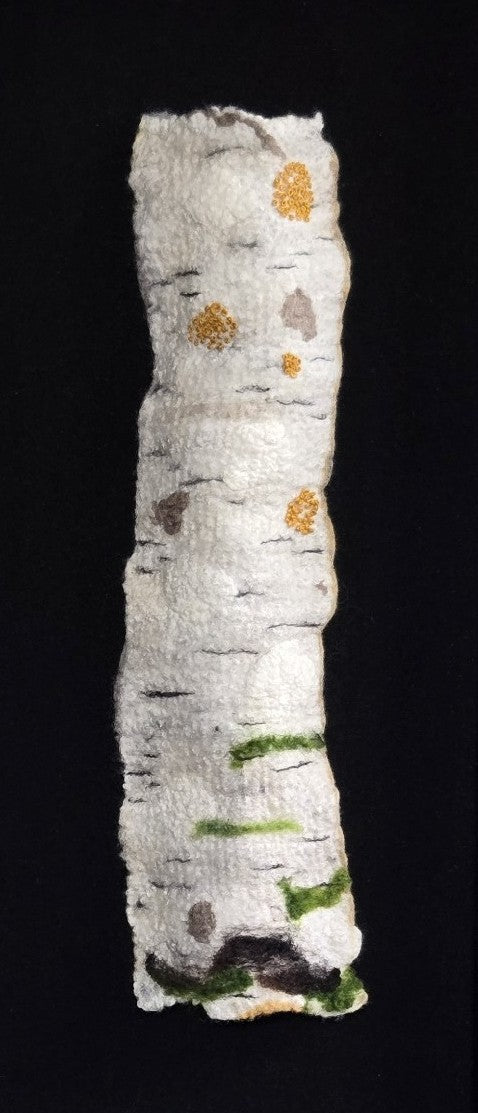 Shadow Birch 4