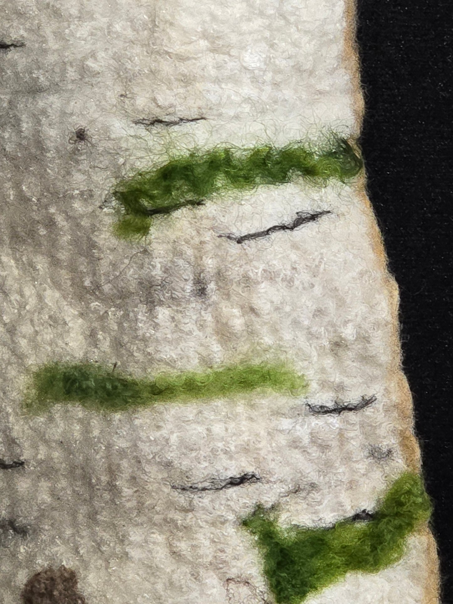 Shadow Birch 4