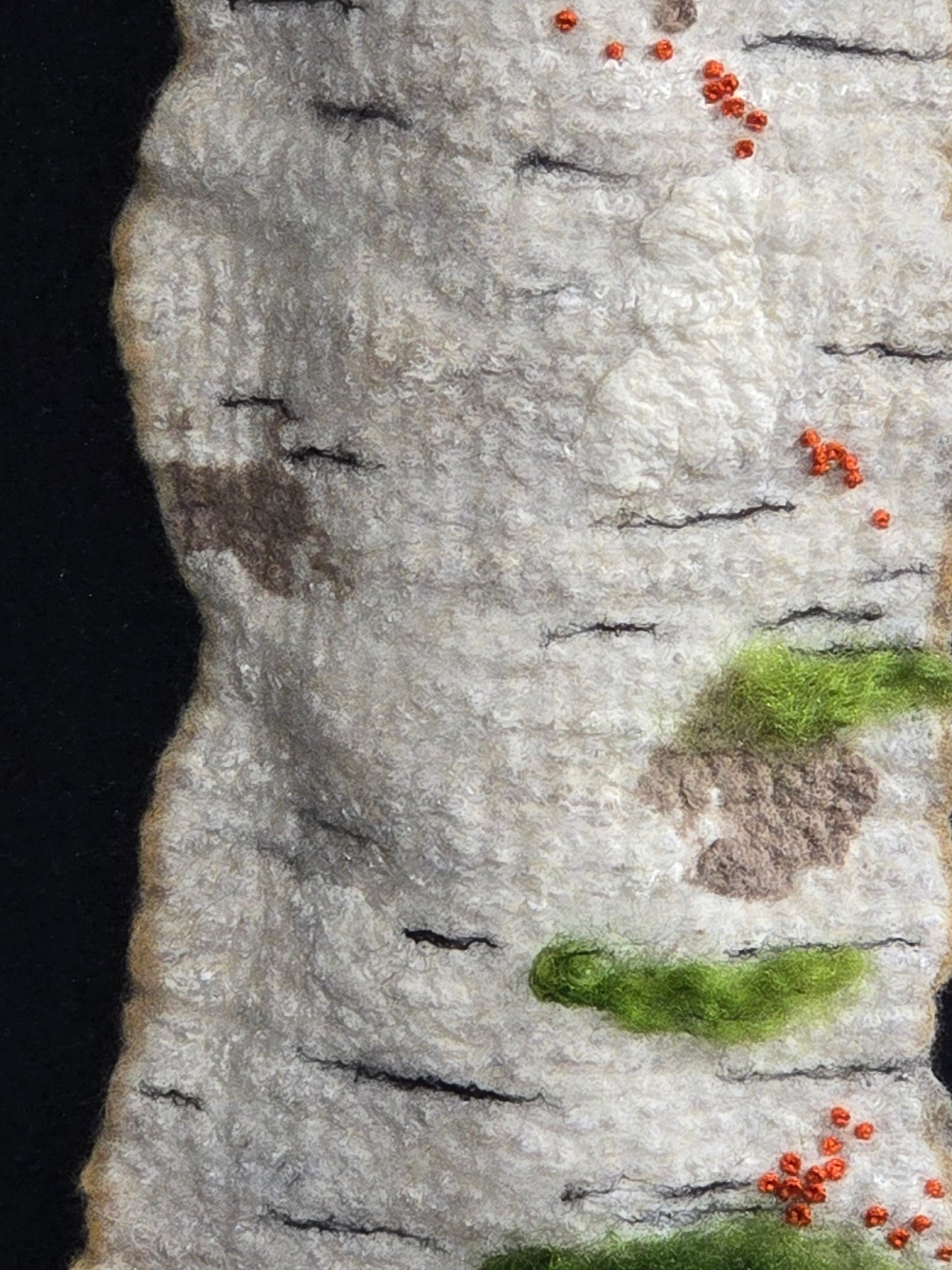Shadow Birch 1