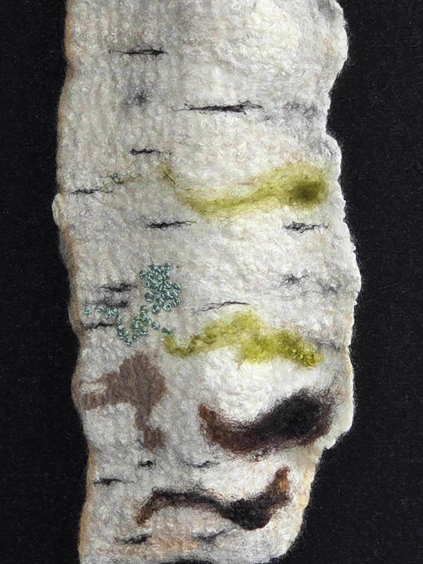 Shadow Birch 3