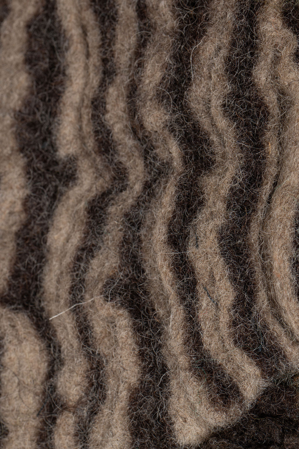 The Calm Pulse of Fallen Bark