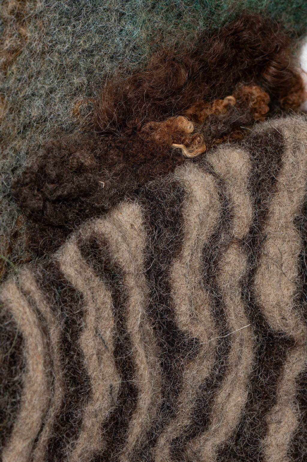 The Calm Pulse of Fallen Bark