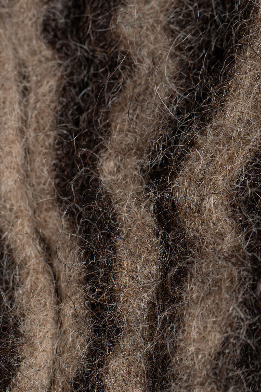 The Calm Pulse of Fallen Bark