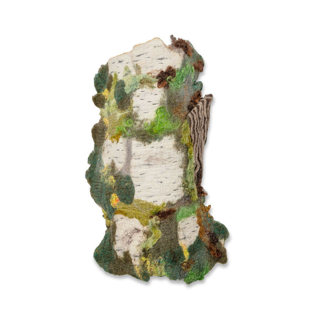 The Calm Pulse of Fallen Bark