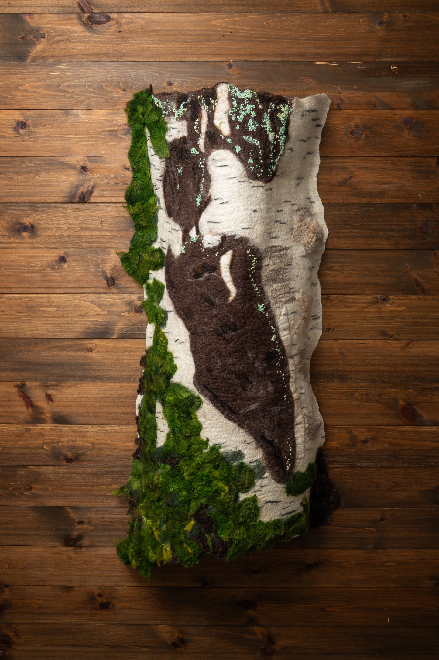 Under Quiet Canopy of Birch Shadows