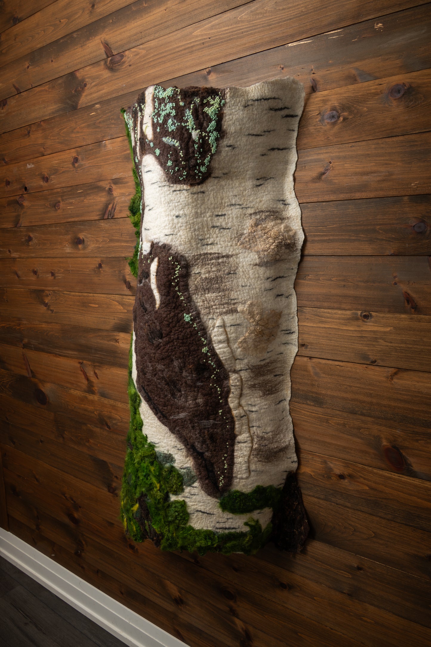 Under Quiet Canopy of Birch Shadows