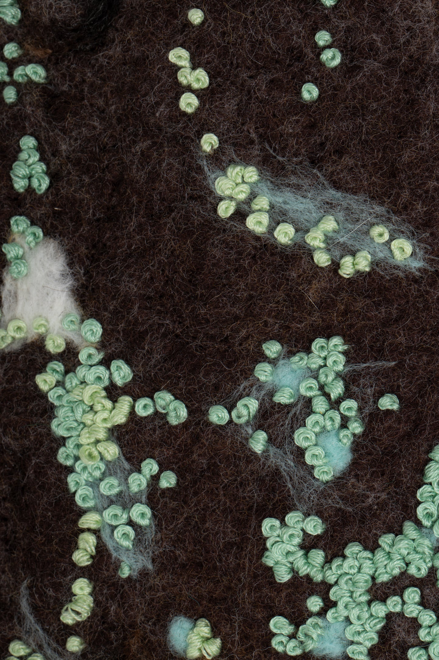 Under Quiet Canopy of Birch Shadows