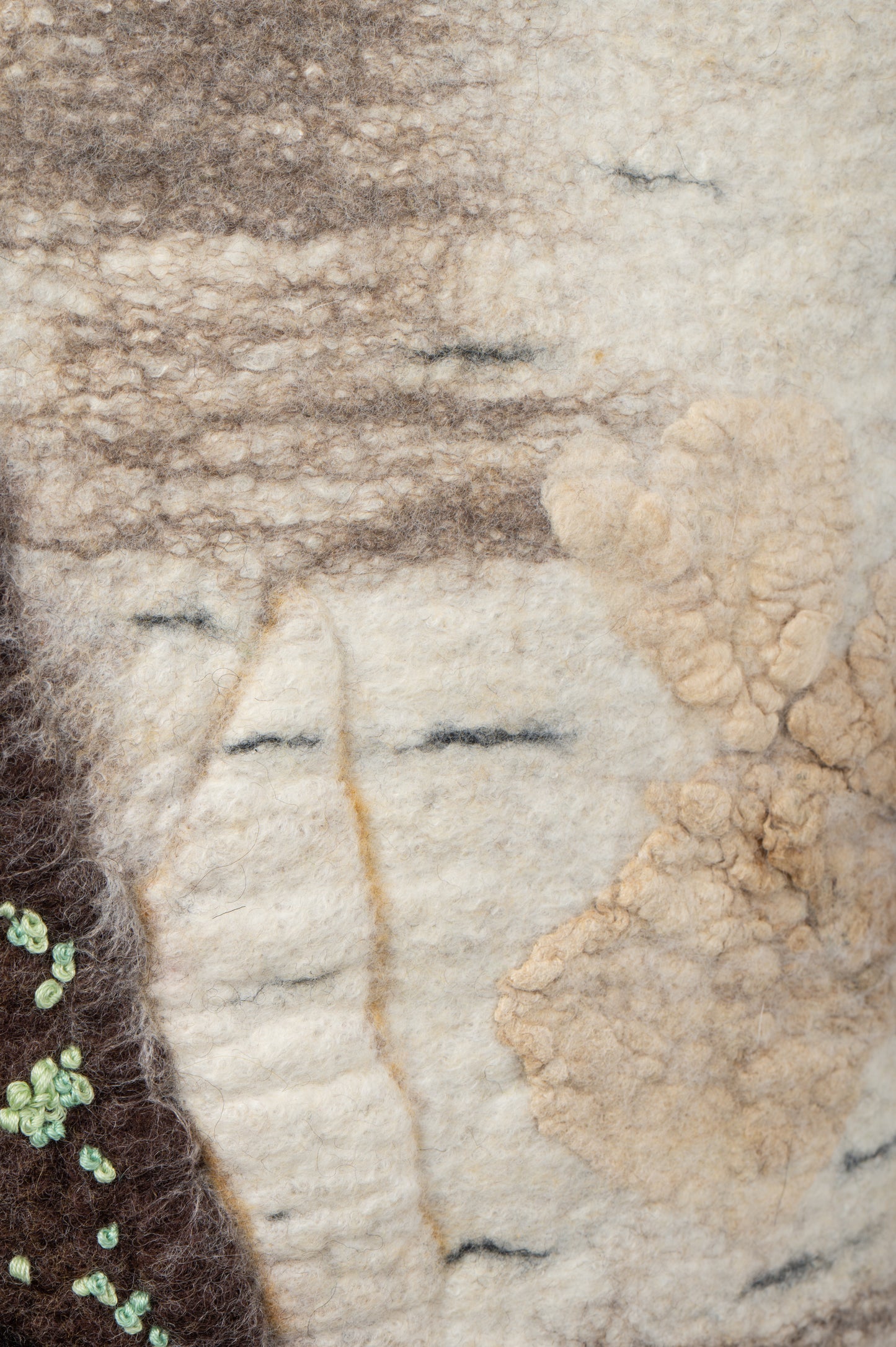 Under Quiet Canopy of Birch Shadows