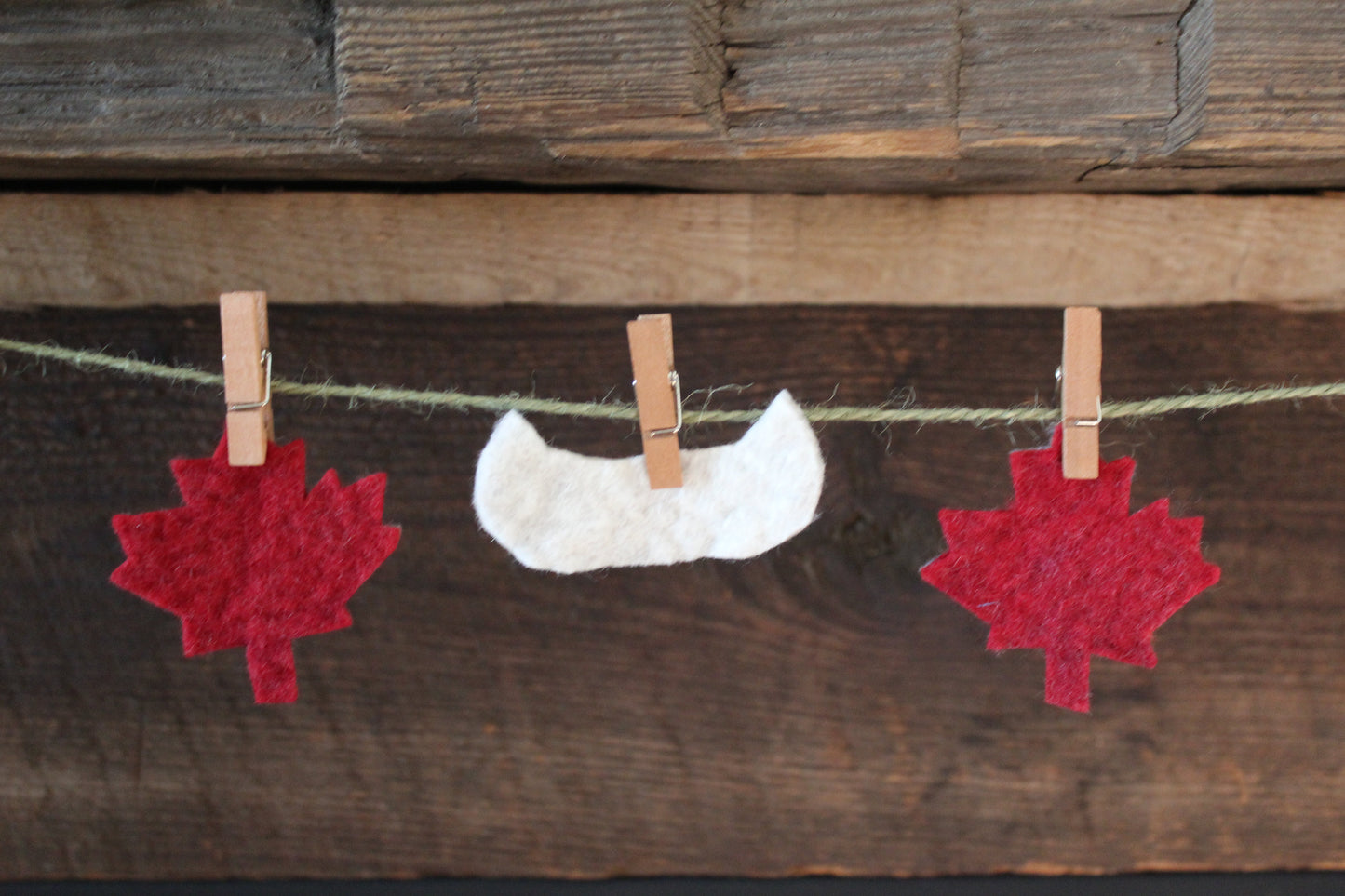 Maple Leaf & Canoe Felt Garland