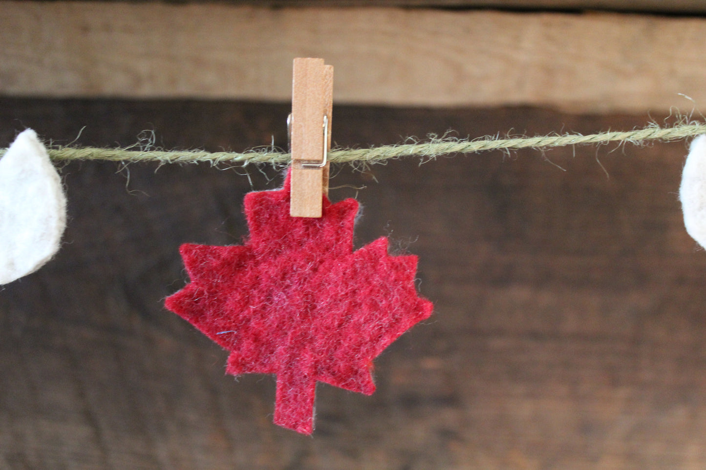 Maple Leaf & Canoe Felt Garland