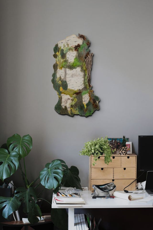 The Calm Pulse of Fallen Bark