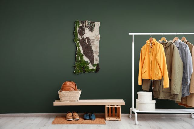 Under Quiet Canopy of Birch Shadows