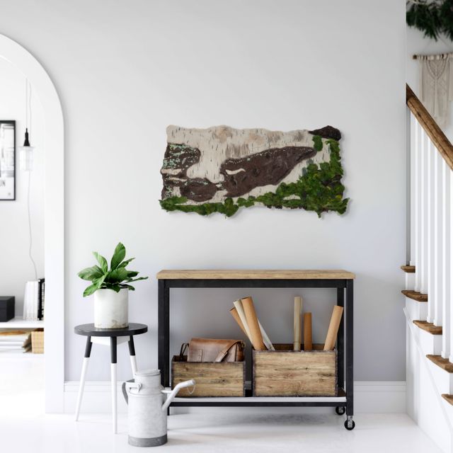 Under Quiet Canopy of Birch Shadows